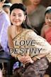 Love Destiny