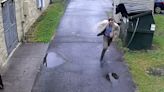 Watch: School principal comes face-to-face with dumpster diving bear