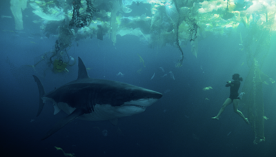 ‘En las profundidades del Sena’, la película de tiburones de Netflix que no sabías que necesitabas