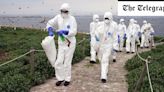 Bird flu jumping to humans is ‘enormous concern’, says WHO