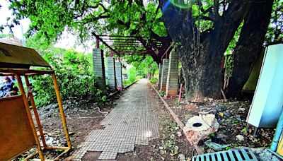 BBMP Footpath Maintenance Neglect in Bengaluru