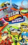 Team Hot Wheels: The Origin of Awesome!