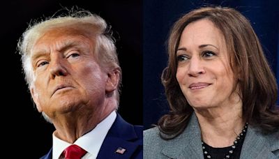 NYT/Sienna poll: Trump 48%, Harris 47%