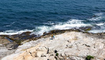 Did balloons kill a seal in Jamestown? Experts weigh in.