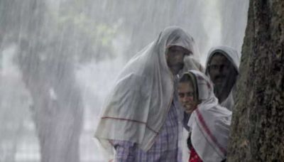 In Pics: Rain respite for residents in Delhi, IMD says more showers coming - Rain cheer for Delhi