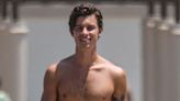 Shawn Mendes Enjoys Beach Day in Santa Monica After Postponing Tour to Focus on Mental Health