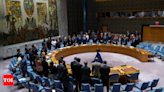 UNSC observes silence for Iran President Ebrahim Raisi, Israel ambassador calls it disgrace - Times of India