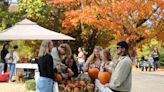 Happy Fall, Clarksville! Here's your guide to the can't miss fall events