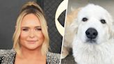 Miranda Lambert reveals death of her dog Thelma: 'It hurts so bad'
