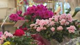 Mother's Day is Sunday and flowers are the most popular gifts