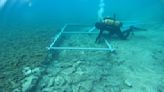 Croacia: encuentran debajo del mar un misterioso asentamiento humano de hace 7000 años