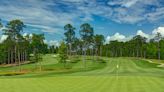 Firm, healthy new Bermuda grass greens await ANWA field at Champions Retreat