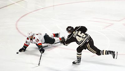 2024 Calder Cup champions! Hershey Bears win second consecutive AHL championship