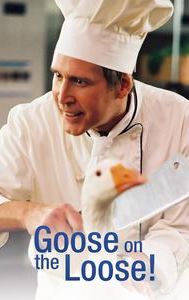 Goose!