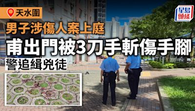 天水圍男子涉傷人案上庭 甫出門被3刀手斬傷手腳 警追緝兇徒