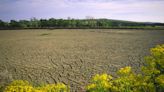 Researchers warn climate change is likely to aggravate brain conditions