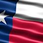 texas Flag