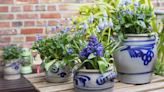 Gardening for beginners: 10 easy tasks to get started