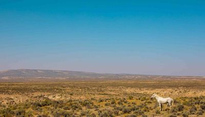 This Colorado County Is Home to Wild Horses and Canyons With Dinosaur Tracks — Here’s How to Explore It