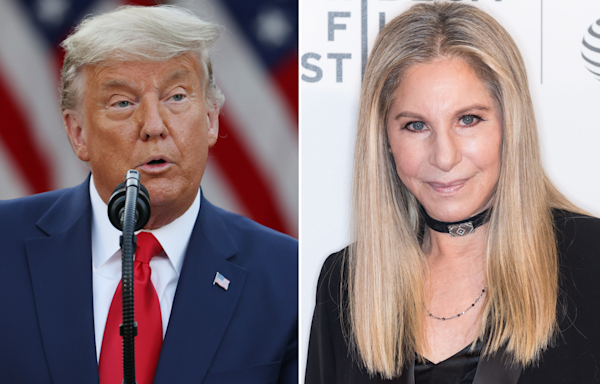 Barbra Streisand s Donald Trump bragging post takes off online