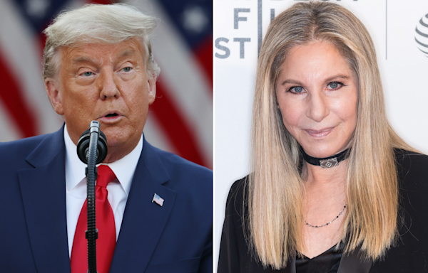 Barbra Streisand's Donald Trump "bragging" post takes off online