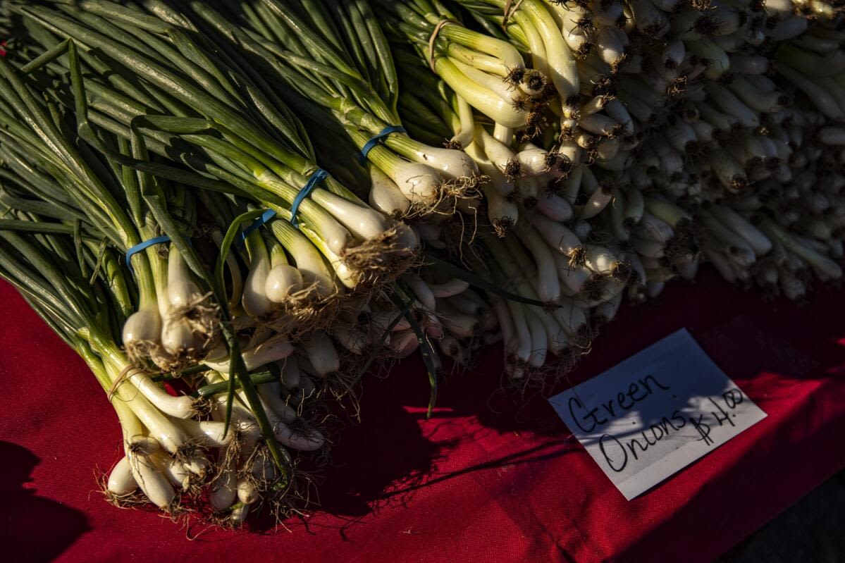 Final downtown farmers market comes to Cedar Rapids Saturday