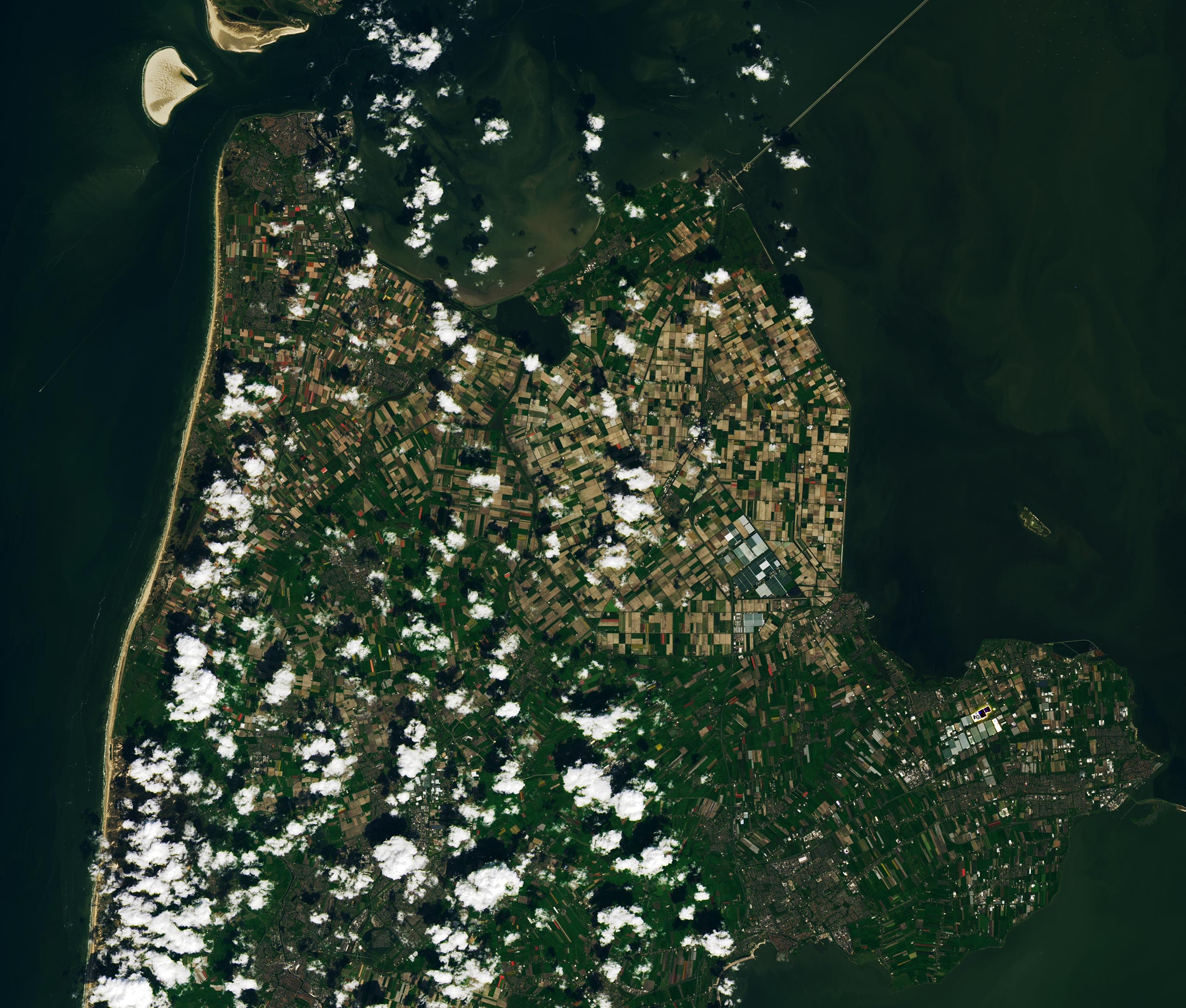 Tulip Frenzy: Netherlands’ Colorful Spring Spectacle Captured From Space