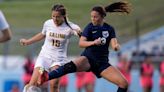 Ann Arbor-area girls soccer district final scoreboard