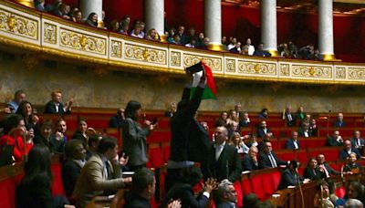 '¡Es un cerdo, defiende un genocidio!': el conflicto de Israel y Palestina tensa la Asamblea Nacional de Francia