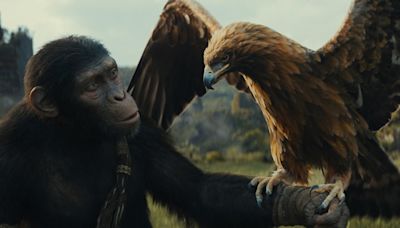 Planet of the Apes Movies in Order of Release + Timeline