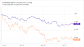 Down 80%, Should Investors Buy the Dip or Avoid Warby Parker Stock?