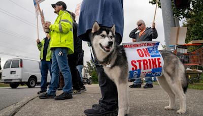 Boeing strike emotions flare as guard flashes gun at picketing workers