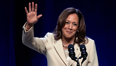 Harris looks to lock up Democratic nomination after Biden steps aside, reordering 2024 race - News