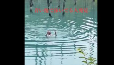 外國遊客跳北海道美瑛青池游泳 疑似違規控無人機比YA拍照