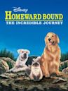 Homeward Bound: The Incredible Journey