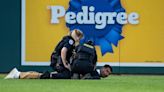 Climate Protesters Storm the Field at Congressional Baseball Game