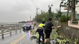 強颱「凱米颱風」過境 台東關山警嚴陣以待 迅速移除遭強風吹倒路樹護交安 | 蕃新聞