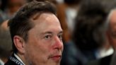 Elon Musk should face an SEC probe over his claims that no monkeys died as a result of Neuralink implants, lawmakers say