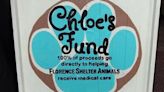 Chloe's Fund Mother's Day Bake Sale is Saturday