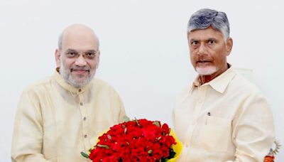 Budget 2024: Chandrababu Naidu urges Centre to extend budgetary support to Andhra Pradesh