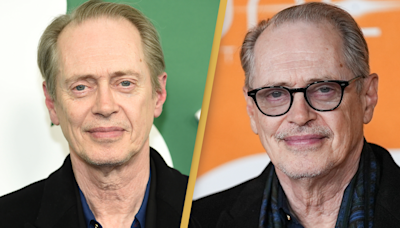 Boardwalk Empire star Steve Buscemi punched in random attack in NYC