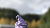 Lavender ice cream, lemonade and more — this Mass. farm has it all