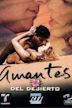 Amantes del desierto