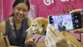 Lucky Pet Lovers Celebrated Valentine's Day By Going on 'Dates' with Shelter Pets