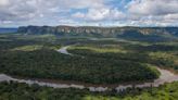 Deforestation in Colombia Down 70 Percent So Far This Year