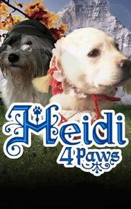 Heidi 4 Paws