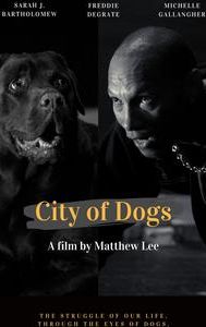 City of Dogs