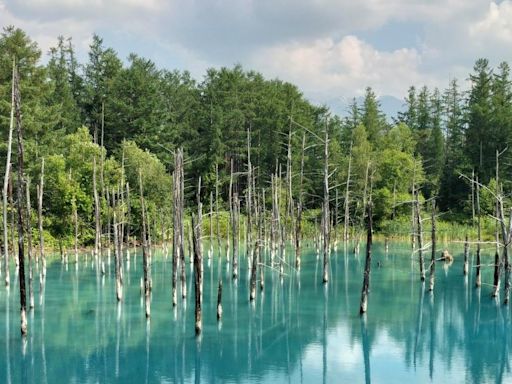 日本續現失德外國旅客 於北海道白金青池違規游水兼使用無人機 | am730