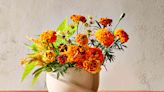 5 Facts About Marigolds You Probably Didn't Know