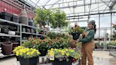 Chilly weather driving down plant sales, say Calgary greenhouses